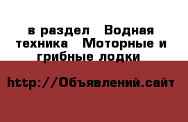  в раздел : Водная техника » Моторные и грибные лодки 